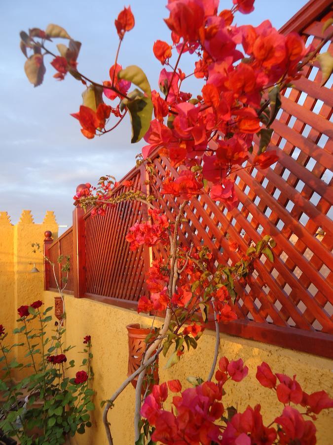 Riad Aldiana Марракеш Екстер'єр фото