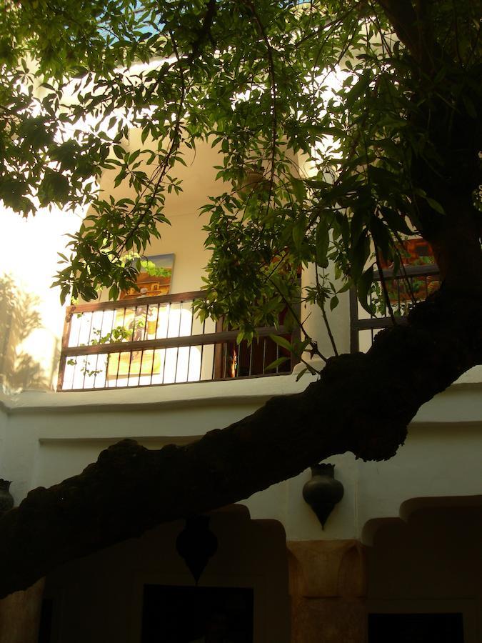 Riad Aldiana Марракеш Екстер'єр фото